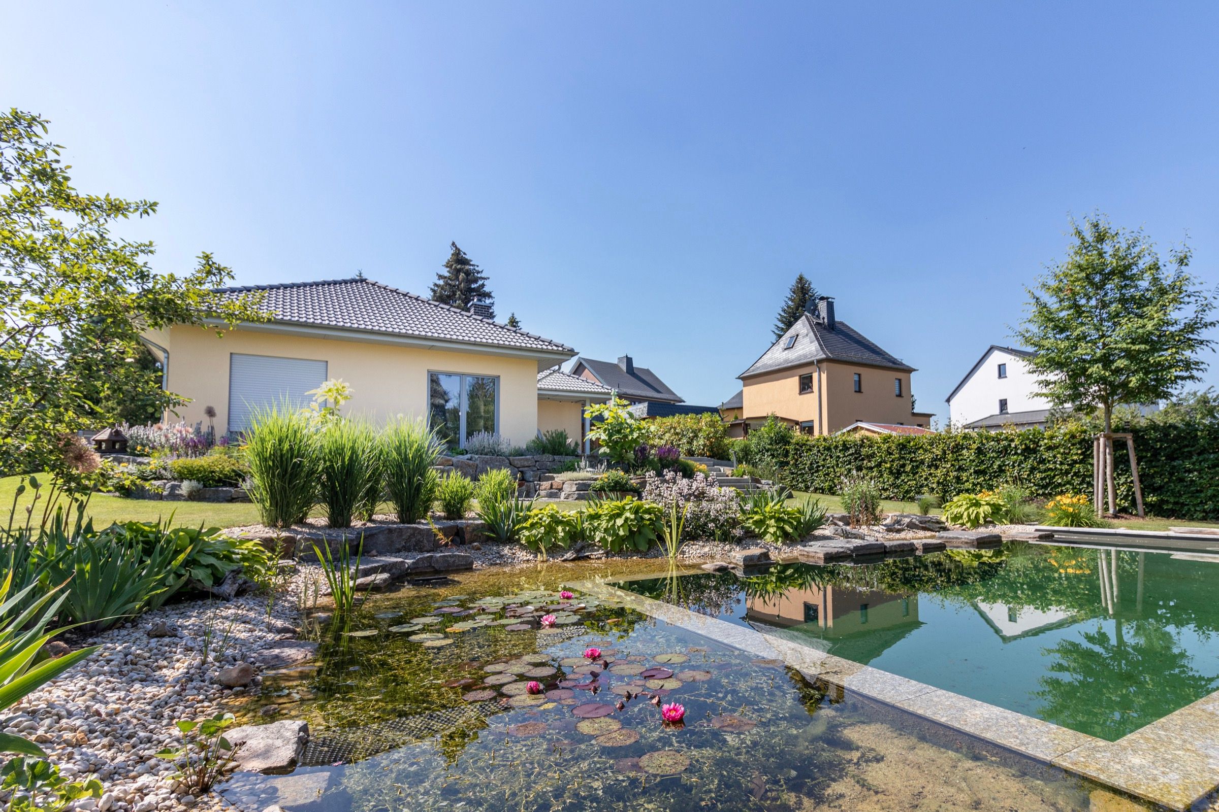 Schwimmteich mit Seerosen und Bepflanzung