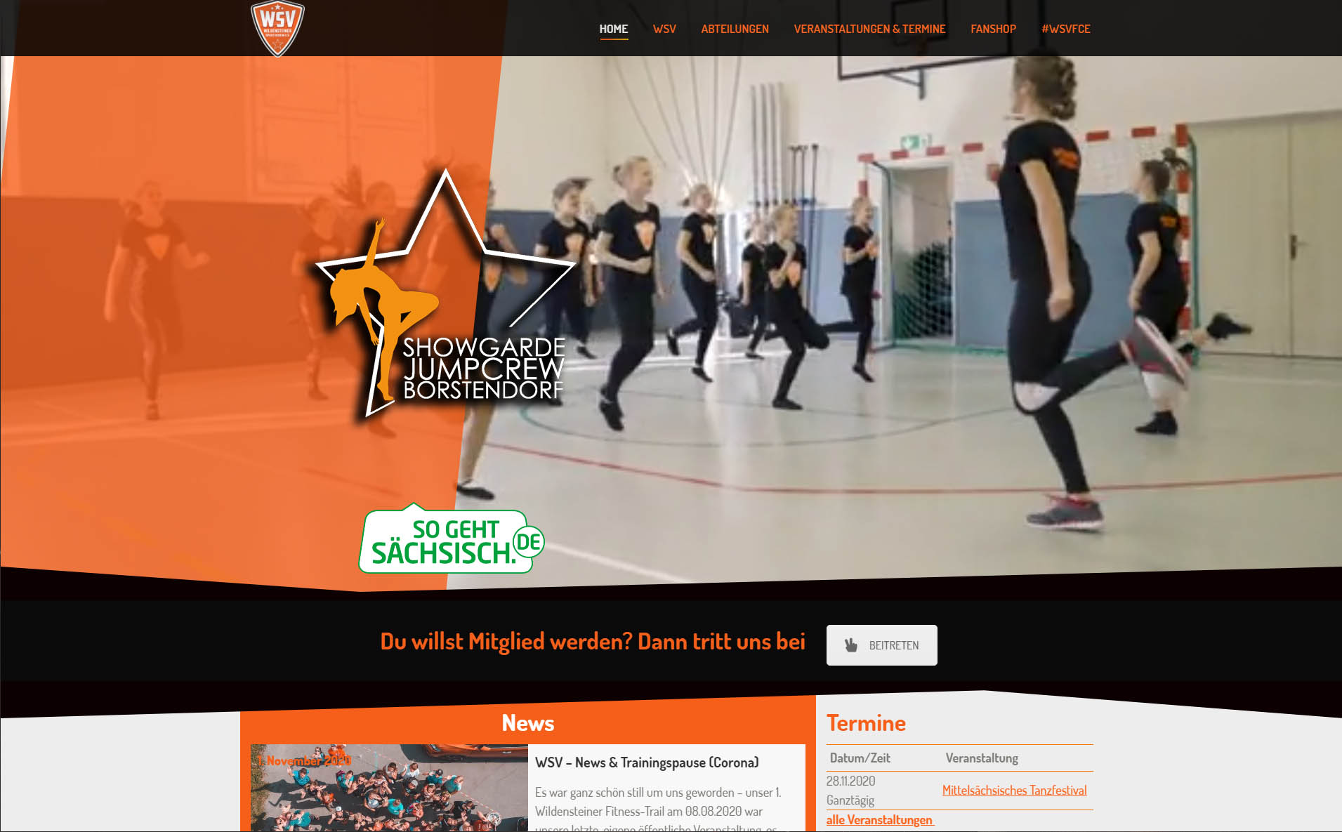 Website Wildensteiner Sportverein e.V. — Mockup